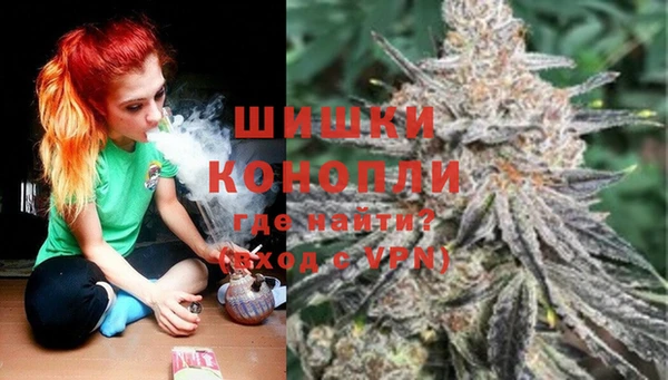 СК Лиски
