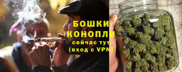 молекула духа Липки