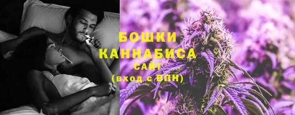 молекула духа Липки