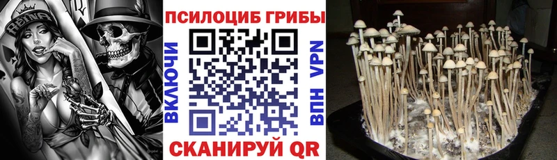 KRAKEN как войти  Таганрог  Псилоцибиновые грибы Cubensis 