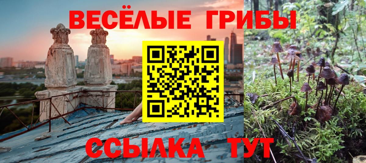 Псилоцибиновые грибы Cubensis  Вход с VPN  Таганрог 