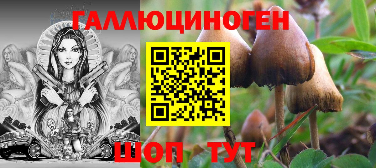 Псилоцибиновые грибы ЛСД Таганрог