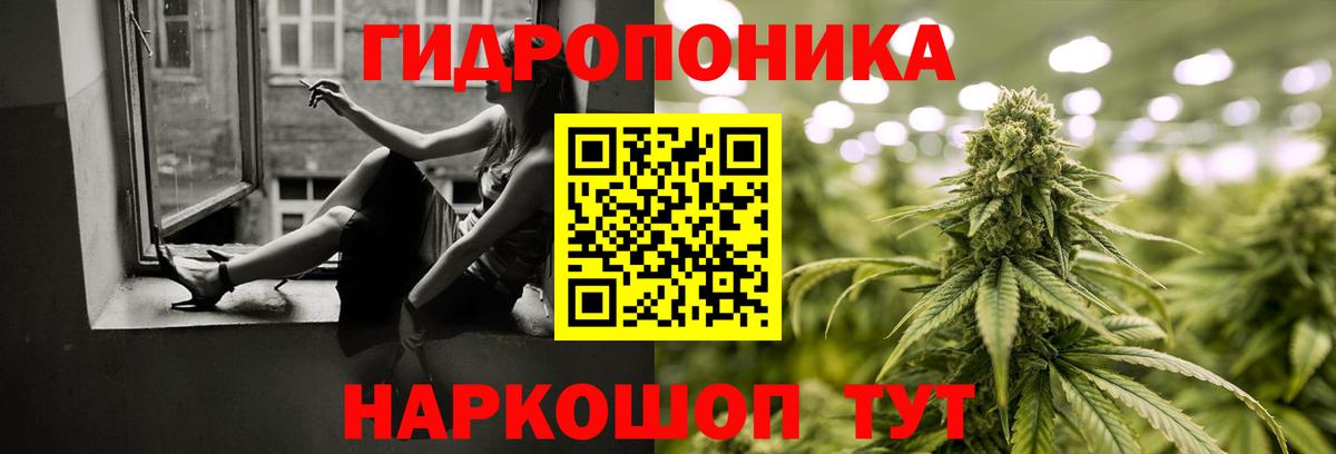 Бошки марихуана OG Kush Таганрог